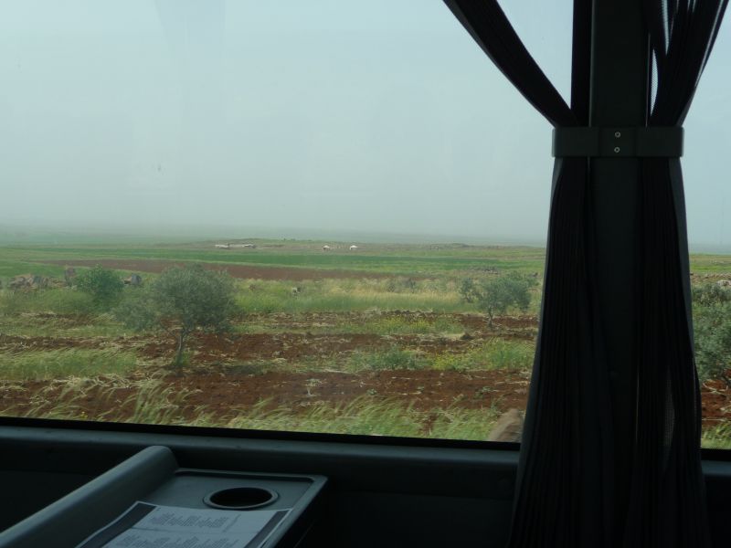P1020933.JPG